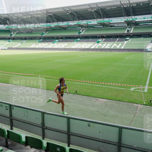 13.09.2026 - 21. swb-Marathon Bremen Michael Burmester http://msf.ph/oto/10488250 13.09.2026 10:18:09 Laufen im Stadion 12457, 12458, 13504, 13510, 13517, 13522, 13533, 13534, 13536, 13542, 13543, 13554, 13561, 13564, 13569, 13571, 13572, 13573, 13576, 13579, 13582, 13599, 13602, 13603, 13604, 13618, 13623, 13630, 13632, 13638, 13639, 13643, 13525 meine-sportfotos.de