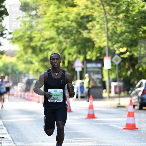 20.09.2026 - PSD Bank Halbmarathon Dr. Thomas Lammeyer http://msf.ph/oto/10491647 20.09.2026 10:29:07 Laufen 1204, 00 meine-sportfotos.de