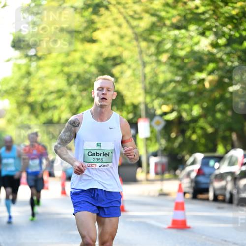 20.09.2026 - PSD Bank Halbmarathon Dr. Thomas Lammeyer http://msf.ph/oto/10491860 20.09.2026 10:30:19 Laufen 2356 meine-sportfotos.de