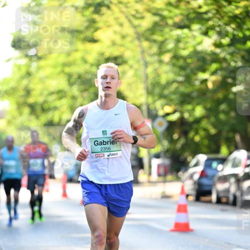 20.09.2026 - PSD Bank Halbmarathon Dr. Thomas Lammeyer http://msf.ph/oto/10491861 20.09.2026 10:30:19 Laufen 2356 meine-sportfotos.de