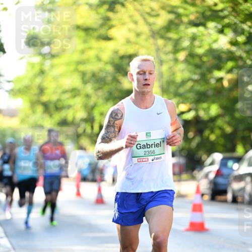 20.09.2026 - PSD Bank Halbmarathon Dr. Thomas Lammeyer http://msf.ph/oto/10491863 20.09.2026 10:30:19 Laufen 2356 meine-sportfotos.de