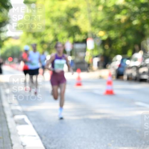 20.09.2026 - PSD Bank Halbmarathon Dr. Thomas Lammeyer http://msf.ph/oto/10492053 20.09.2026 10:31:13 Laufen  meine-sportfotos.de