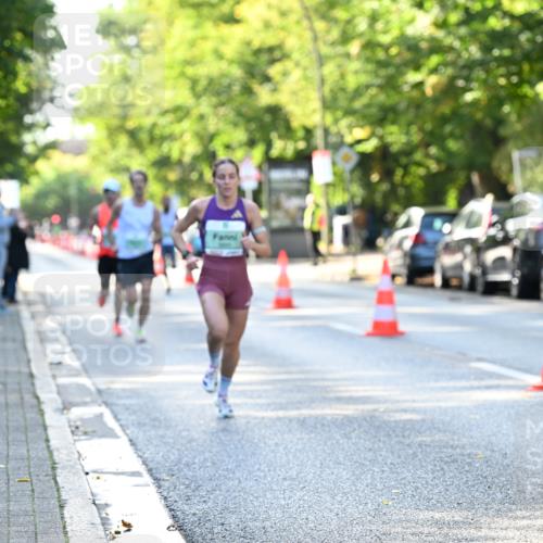 20.09.2026 - PSD Bank Halbmarathon Dr. Thomas Lammeyer http://msf.ph/oto/10492054 20.09.2026 10:31:13 Laufen  meine-sportfotos.de