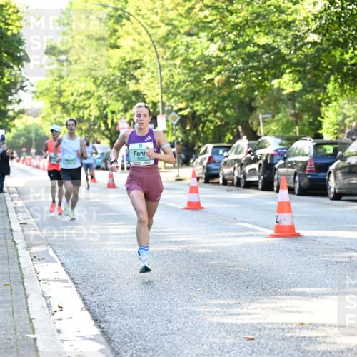 20.09.2026 - PSD Bank Halbmarathon Dr. Thomas Lammeyer http://msf.ph/oto/10492059 20.09.2026 10:31:14 Laufen 3995, 4683 meine-sportfotos.de