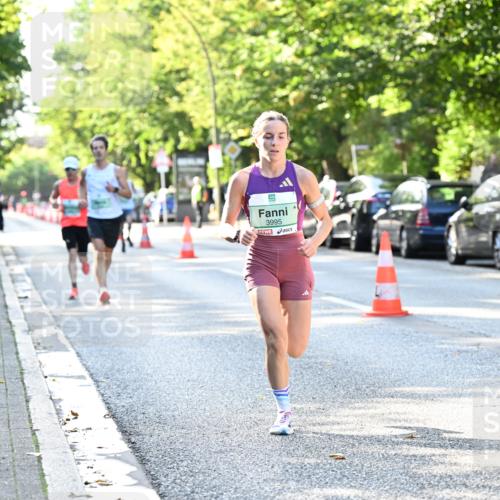 20.09.2026 - PSD Bank Halbmarathon Dr. Thomas Lammeyer http://msf.ph/oto/10492065 20.09.2026 10:31:15 Laufen 3995 meine-sportfotos.de