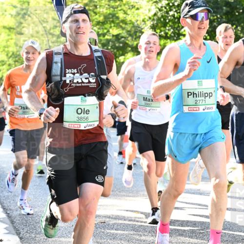 20.09.2026 - PSD Bank Halbmarathon Dr. Thomas Lammeyer http://msf.ph/oto/10492999 20.09.2026 10:34:41 Laufen 2026, 3899, 3856, 3997, 2771, 1639 meine-sportfotos.de
