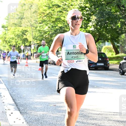 20.09.2026 - PSD Bank Halbmarathon Dr. Thomas Lammeyer http://msf.ph/oto/10493035 20.09.2026 10:34:47 Laufen 4345 meine-sportfotos.de
