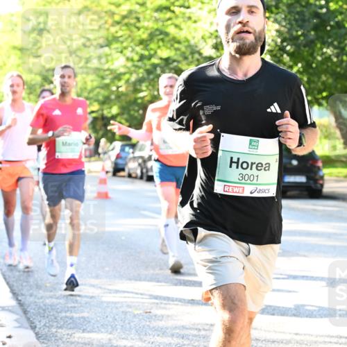20.09.2026 - PSD Bank Halbmarathon Dr. Thomas Lammeyer http://msf.ph/oto/10493210 20.09.2026 10:35:15 Laufen 3001 meine-sportfotos.de
