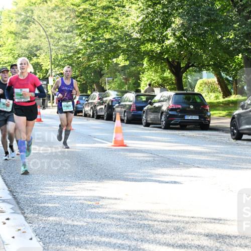 20.09.2026 - PSD Bank Halbmarathon Dr. Thomas Lammeyer http://msf.ph/oto/10493684 20.09.2026 10:36:38 Laufen 4649, 510, 4683 meine-sportfotos.de