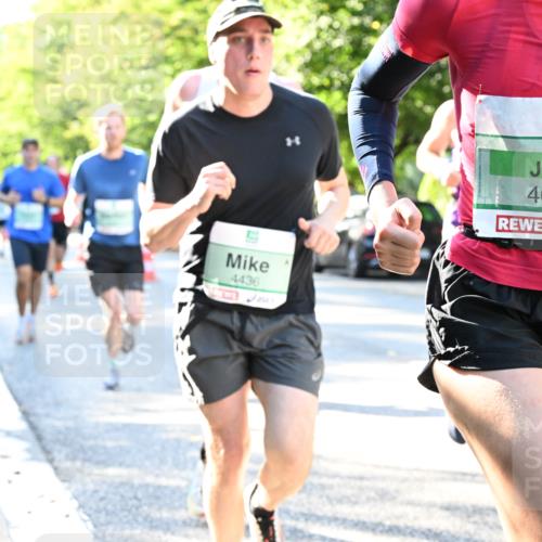 20.09.2026 - PSD Bank Halbmarathon Dr. Thomas Lammeyer http://msf.ph/oto/10493702 20.09.2026 10:36:41 Laufen 4436, 4649 meine-sportfotos.de