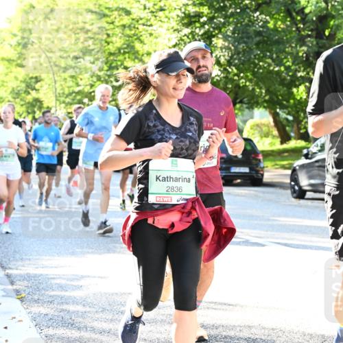 20.09.2026 - PSD Bank Halbmarathon Dr. Thomas Lammeyer http://msf.ph/oto/10495413 20.09.2026 10:41:57 Laufen 2836, 5, 3586 meine-sportfotos.de