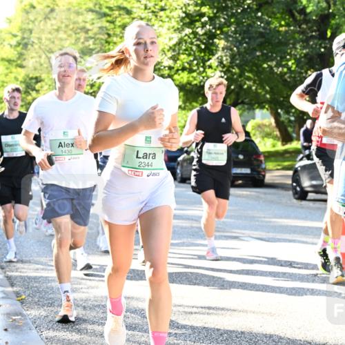 20.09.2026 - PSD Bank Halbmarathon Dr. Thomas Lammeyer http://msf.ph/oto/10495431 20.09.2026 10:41:59 Laufen 2571, 1430, 2344 meine-sportfotos.de