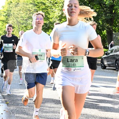 20.09.2026 - PSD Bank Halbmarathon Dr. Thomas Lammeyer http://msf.ph/oto/10495433 20.09.2026 10:42:00 Laufen 2177, 430, 2344, 3790 meine-sportfotos.de