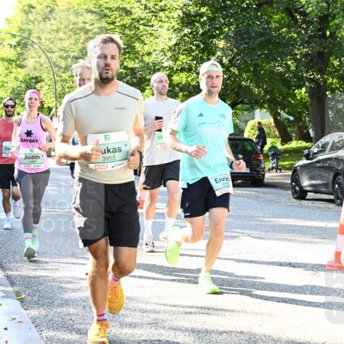 20.09.2026 - PSD Bank Halbmarathon Dr. Thomas Lammeyer http://msf.ph/oto/10495474 20.09.2026 10:42:07 Laufen 1088, 3955, 2778 meine-sportfotos.de