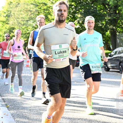 20.09.2026 - PSD Bank Halbmarathon Dr. Thomas Lammeyer http://msf.ph/oto/10495476 20.09.2026 10:42:08 Laufen 1068, 1227, 3955, 2778 meine-sportfotos.de