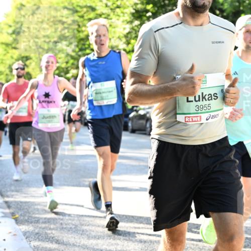 20.09.2026 - PSD Bank Halbmarathon Dr. Thomas Lammeyer http://msf.ph/oto/10495479 20.09.2026 10:42:08 Laufen 3227, 3955, 277 meine-sportfotos.de