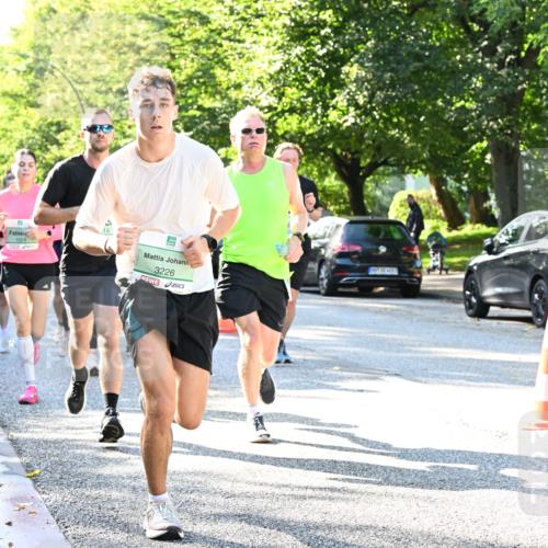 20.09.2026 - PSD Bank Halbmarathon Dr. Thomas Lammeyer http://msf.ph/oto/10495511 20.09.2026 10:42:13 Laufen 1559, 14, 3226 meine-sportfotos.de