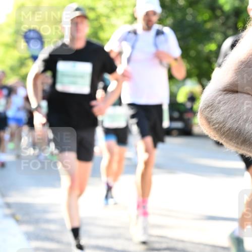 20.09.2026 - PSD Bank Halbmarathon Dr. Thomas Lammeyer http://msf.ph/oto/10495573 20.09.2026 10:42:23 Laufen  meine-sportfotos.de