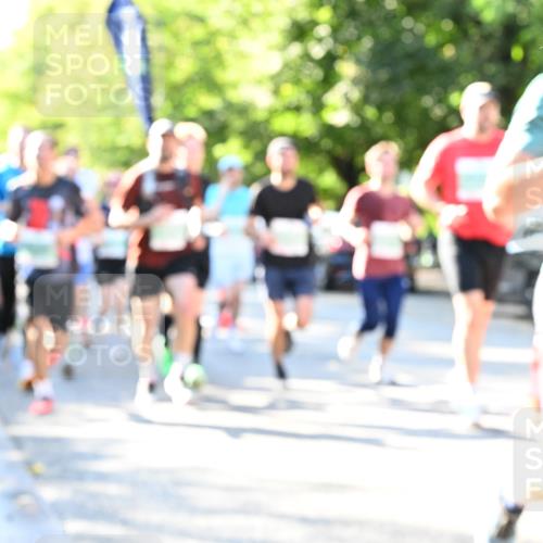 20.09.2026 - PSD Bank Halbmarathon Dr. Thomas Lammeyer http://msf.ph/oto/10495581 20.09.2026 10:42:24 Laufen  meine-sportfotos.de