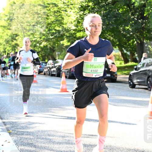 20.09.2026 - PSD Bank Halbmarathon Dr. Thomas Lammeyer http://msf.ph/oto/10495736 20.09.2026 10:42:49 Laufen 4102 meine-sportfotos.de