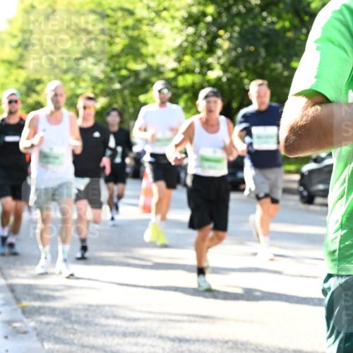 20.09.2026 - PSD Bank Halbmarathon Dr. Thomas Lammeyer http://msf.ph/oto/10496110 20.09.2026 10:43:49 Laufen  meine-sportfotos.de