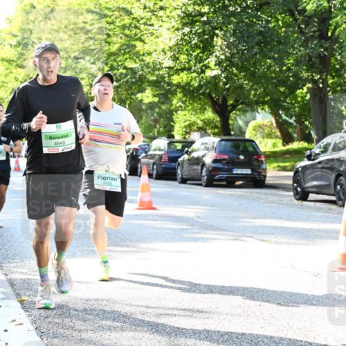 20.09.2026 - PSD Bank Halbmarathon Dr. Thomas Lammeyer http://msf.ph/oto/10496174 20.09.2026 10:43:59 Laufen 4645, 2420, 0 meine-sportfotos.de