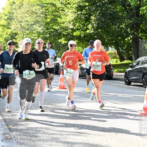 20.09.2026 - PSD Bank Halbmarathon Dr. Thomas Lammeyer http://msf.ph/oto/10496374 20.09.2026 10:44:37 Laufen 2253, 2987, 4278, 4279, 0 meine-sportfotos.de