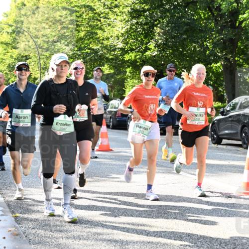 20.09.2026 - PSD Bank Halbmarathon Dr. Thomas Lammeyer http://msf.ph/oto/10496377 20.09.2026 10:44:38 Laufen 2253, 2987, 4278, 4279, 0 meine-sportfotos.de