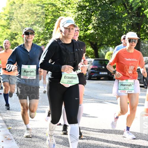 20.09.2026 - PSD Bank Halbmarathon Dr. Thomas Lammeyer http://msf.ph/oto/10496382 20.09.2026 10:44:39 Laufen 2253, 2987, 4279, 30, 4278 meine-sportfotos.de