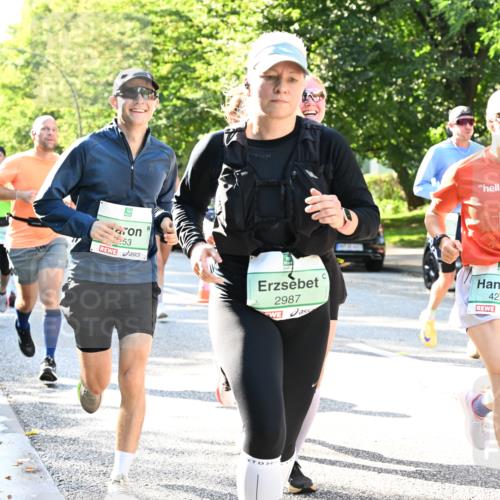 20.09.2026 - PSD Bank Halbmarathon Dr. Thomas Lammeyer http://msf.ph/oto/10496384 20.09.2026 10:44:39 Laufen 30, 53, 2987, 4279 meine-sportfotos.de