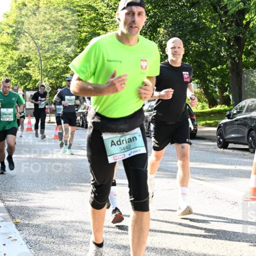 20.09.2026 - PSD Bank Halbmarathon Dr. Thomas Lammeyer http://msf.ph/oto/10496406 20.09.2026 10:44:42 Laufen 3442 meine-sportfotos.de