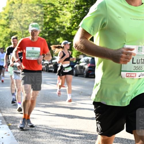 20.09.2026 - PSD Bank Halbmarathon Dr. Thomas Lammeyer http://msf.ph/oto/10496446 20.09.2026 10:44:48 Laufen 3565, 2814 meine-sportfotos.de