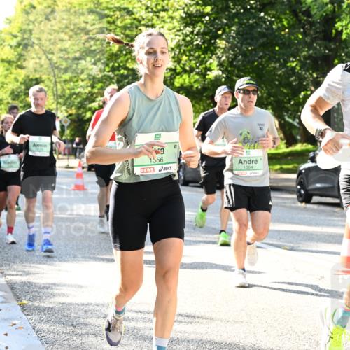 20.09.2026 - PSD Bank Halbmarathon Dr. Thomas Lammeyer http://msf.ph/oto/10496562 20.09.2026 10:45:06 Laufen 1356, 1064, 3323 meine-sportfotos.de