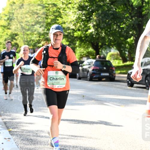 20.09.2026 - PSD Bank Halbmarathon Dr. Thomas Lammeyer http://msf.ph/oto/10496648 20.09.2026 10:45:19 Laufen 1530, 4 meine-sportfotos.de