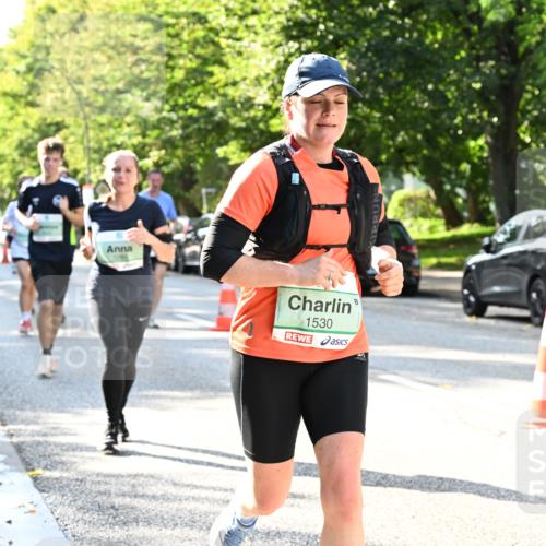 20.09.2026 - PSD Bank Halbmarathon Dr. Thomas Lammeyer http://msf.ph/oto/10496651 20.09.2026 10:45:19 Laufen 1530 meine-sportfotos.de