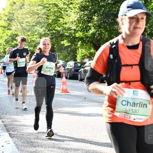 20.09.2026 - PSD Bank Halbmarathon Dr. Thomas Lammeyer http://msf.ph/oto/10496653 20.09.2026 10:45:19 Laufen 3280, 1530, 0 meine-sportfotos.de