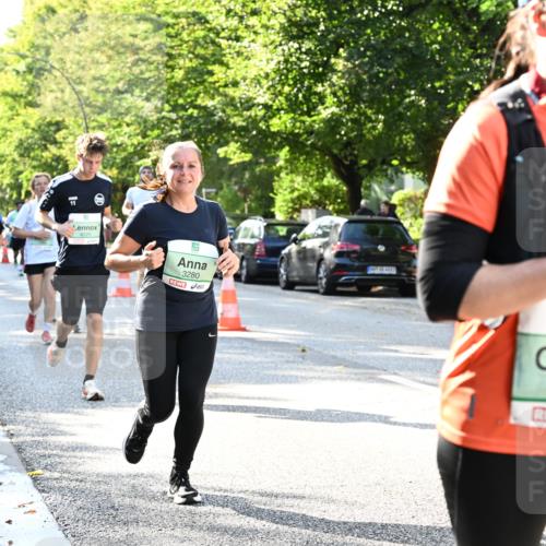 20.09.2026 - PSD Bank Halbmarathon Dr. Thomas Lammeyer http://msf.ph/oto/10496654 20.09.2026 10:45:19 Laufen 11, 3280, 1530, 25 meine-sportfotos.de