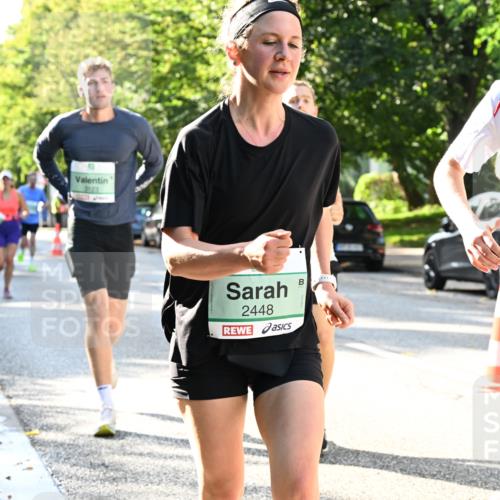 20.09.2026 - PSD Bank Halbmarathon Dr. Thomas Lammeyer http://msf.ph/oto/10496686 20.09.2026 10:45:24 Laufen 3123, 2448, 1760 meine-sportfotos.de