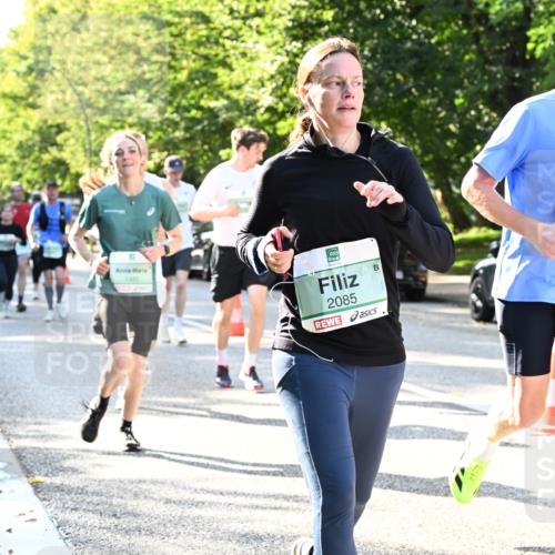 20.09.2026 - PSD Bank Halbmarathon Dr. Thomas Lammeyer http://msf.ph/oto/10496733 20.09.2026 10:45:31 Laufen 1482, 2085 meine-sportfotos.de