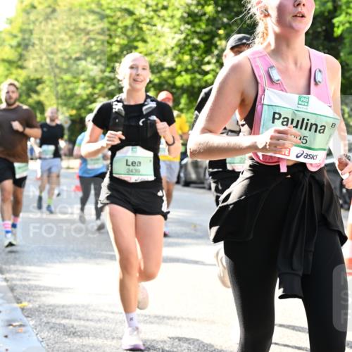20.09.2026 - PSD Bank Halbmarathon Dr. Thomas Lammeyer http://msf.ph/oto/10497014 20.09.2026 10:46:15 Laufen 34, 2439, 45 meine-sportfotos.de