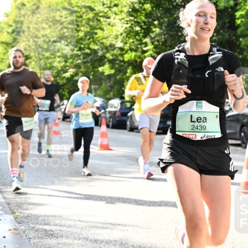 20.09.2026 - PSD Bank Halbmarathon Dr. Thomas Lammeyer http://msf.ph/oto/10497019 20.09.2026 10:46:16 Laufen 2439 meine-sportfotos.de