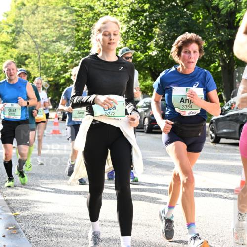20.09.2026 - PSD Bank Halbmarathon Dr. Thomas Lammeyer http://msf.ph/oto/10497179 20.09.2026 10:46:40 Laufen 2499, 1642, 7, 3372, 3354 meine-sportfotos.de