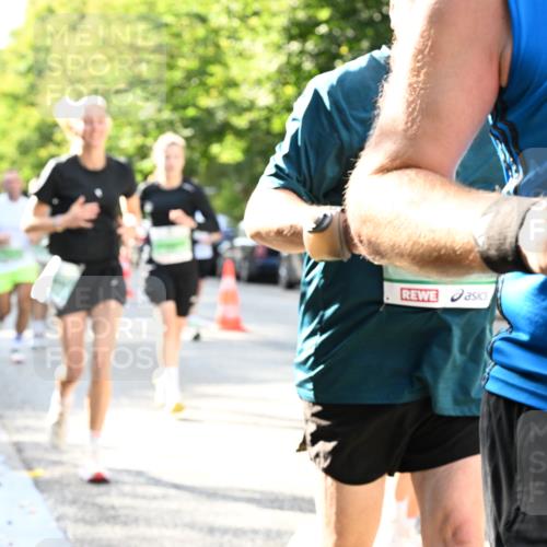 20.09.2026 - PSD Bank Halbmarathon Dr. Thomas Lammeyer http://msf.ph/oto/10497200 20.09.2026 10:46:43 Laufen 24 meine-sportfotos.de