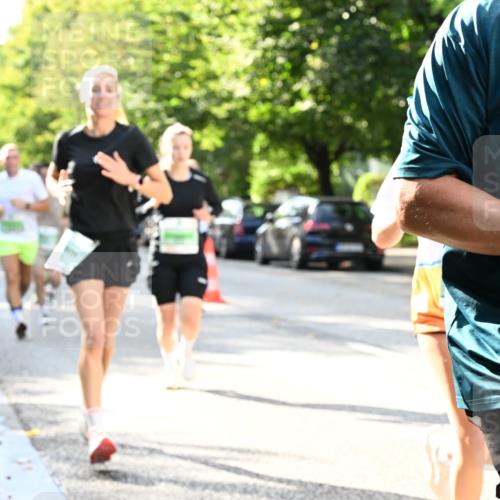 20.09.2026 - PSD Bank Halbmarathon Dr. Thomas Lammeyer http://msf.ph/oto/10497202 20.09.2026 10:46:44 Laufen 50 meine-sportfotos.de