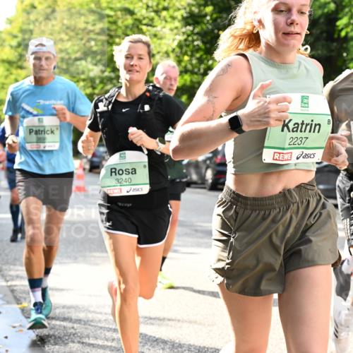 20.09.2026 - PSD Bank Halbmarathon Dr. Thomas Lammeyer http://msf.ph/oto/10497501 20.09.2026 10:47:29 Laufen 3240, 2237, 2670 meine-sportfotos.de