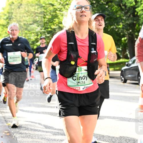 20.09.2026 - PSD Bank Halbmarathon Dr. Thomas Lammeyer http://msf.ph/oto/10497707 20.09.2026 10:48:01 Laufen 3804, 2174 meine-sportfotos.de