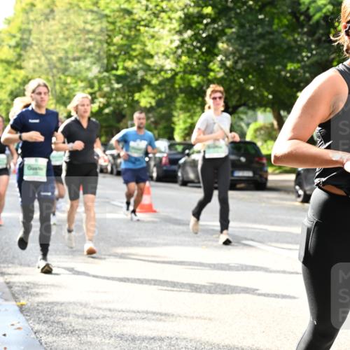 20.09.2026 - PSD Bank Halbmarathon Dr. Thomas Lammeyer http://msf.ph/oto/10497807 20.09.2026 10:48:16 Laufen 73 meine-sportfotos.de