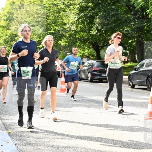 20.09.2026 - PSD Bank Halbmarathon Dr. Thomas Lammeyer http://msf.ph/oto/10497811 20.09.2026 10:48:17 Laufen 1818, 2953, 3281, 1213 meine-sportfotos.de