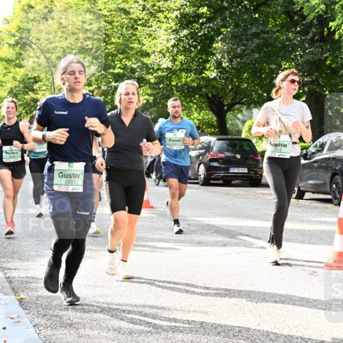 20.09.2026 - PSD Bank Halbmarathon Dr. Thomas Lammeyer http://msf.ph/oto/10497813 20.09.2026 10:48:17 Laufen 2953, 4683, 1213 meine-sportfotos.de