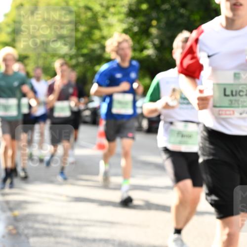 20.09.2026 - PSD Bank Halbmarathon Dr. Thomas Lammeyer http://msf.ph/oto/10497908 20.09.2026 10:48:31 Laufen 3702 meine-sportfotos.de